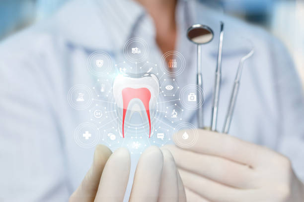 Best Full Mouth Reconstruction  in Brillion, WI